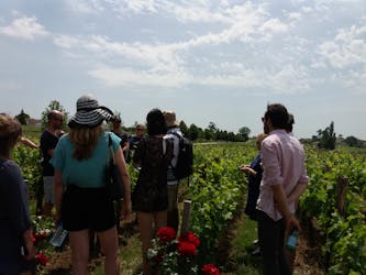 Excursión de medio día a las fincas vinícolas de Saint-Emilion desde Burdeos